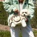 Dog Purse Carrier for Small Dogs, Cats, and Puppies – Soft-Sided Travel Pet Tote Bag，Foldable, Lightweight,for Travel, Outings